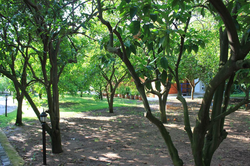 Yildiz Pension Bungalows Чирали Экстерьер фото