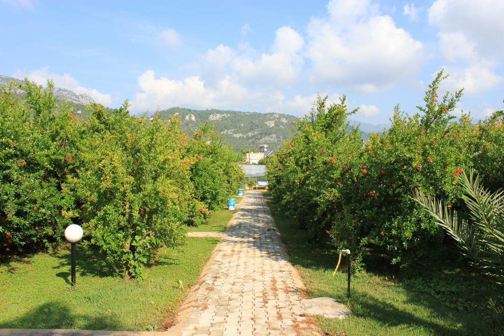 Yildiz Pension Bungalows Чирали Экстерьер фото