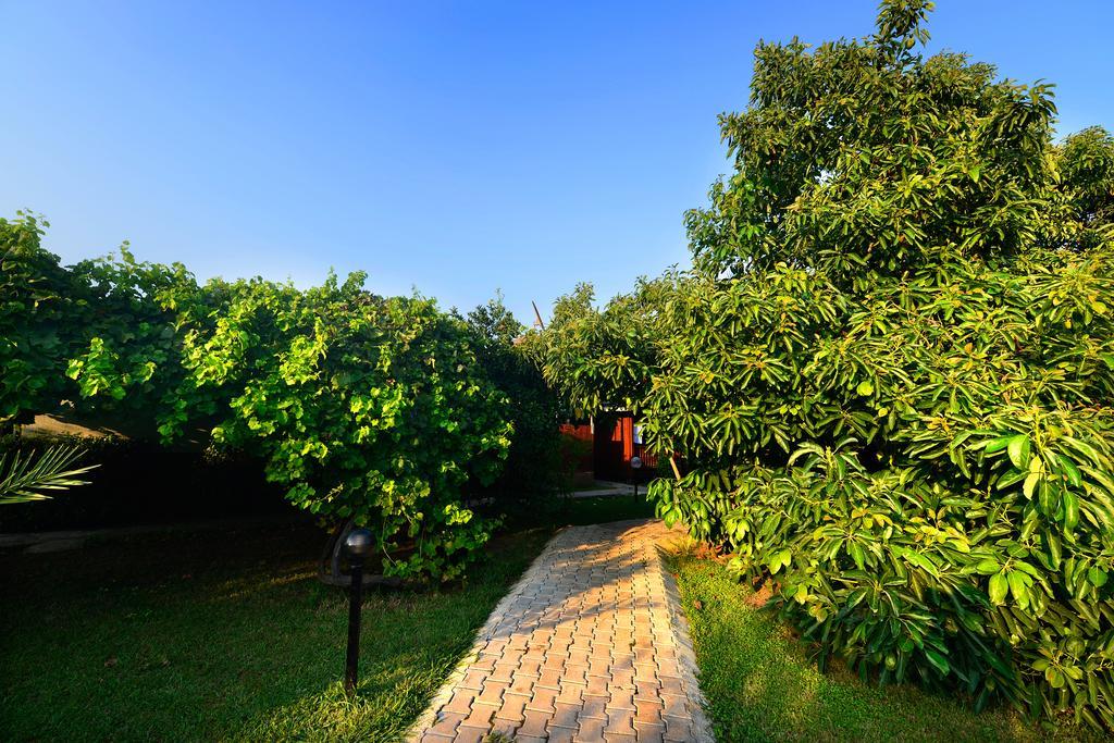 Yildiz Pension Bungalows Чирали Экстерьер фото